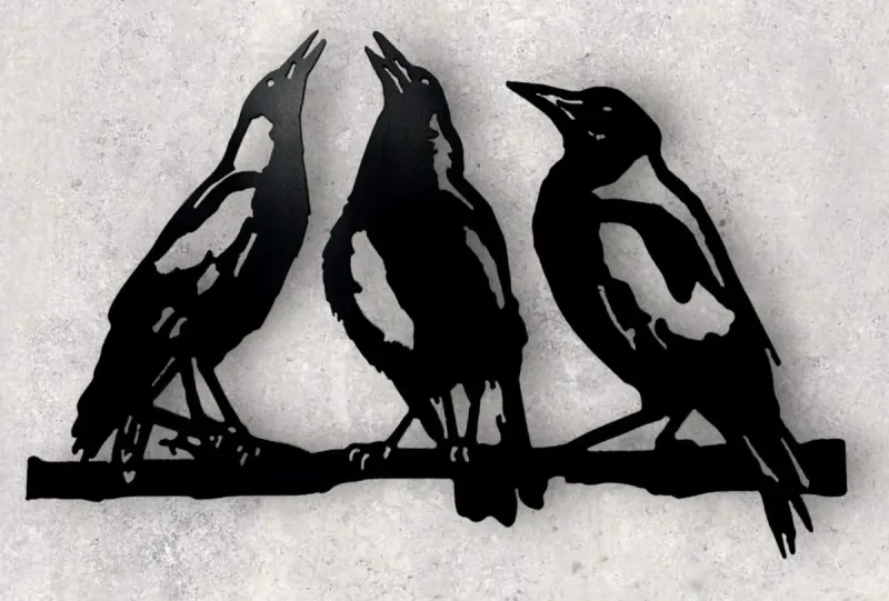 Magpies on Branch metal sign by Rock DeSigns